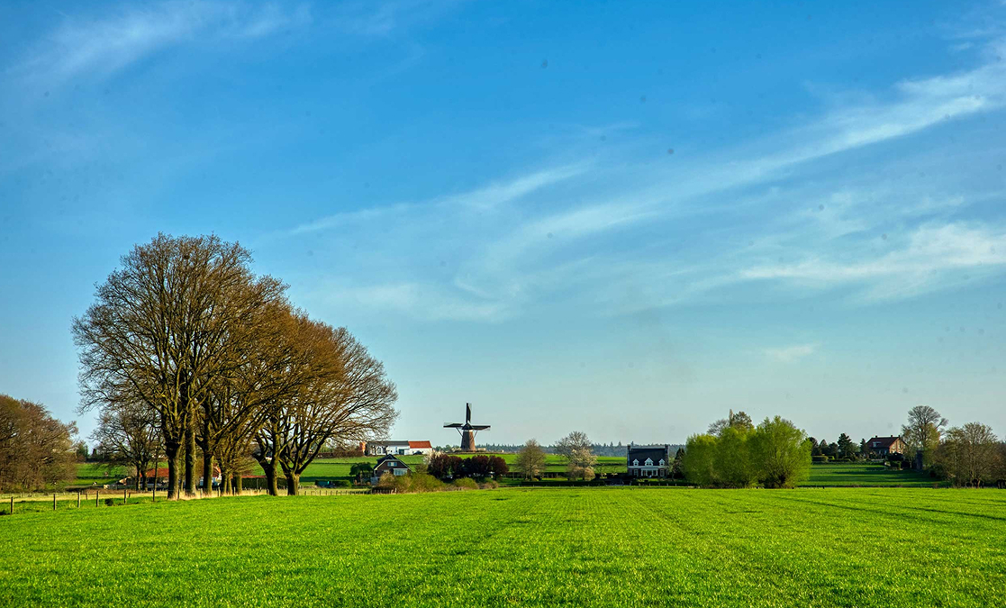 Home hero achtergrond